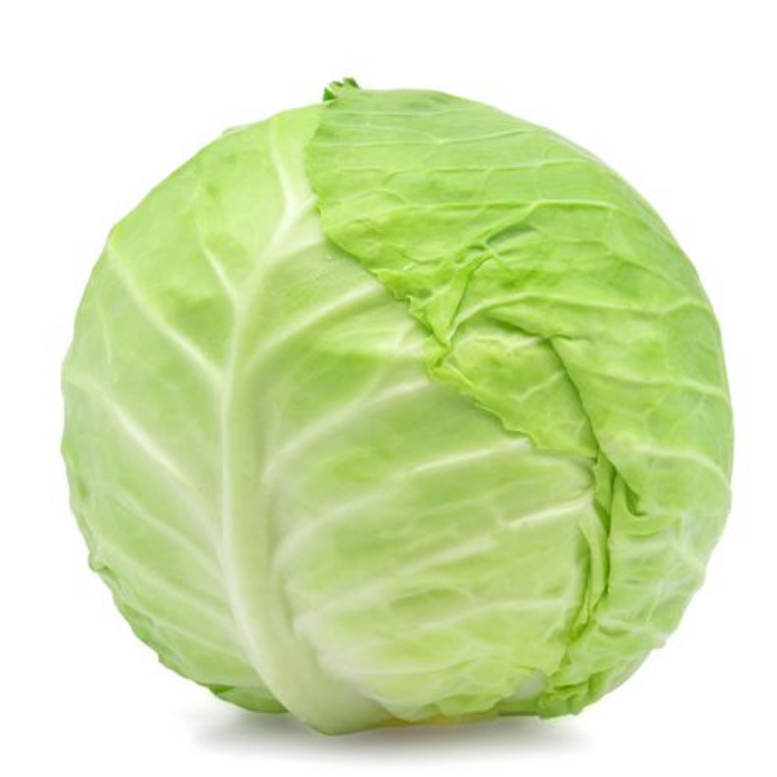 Cabbage Image